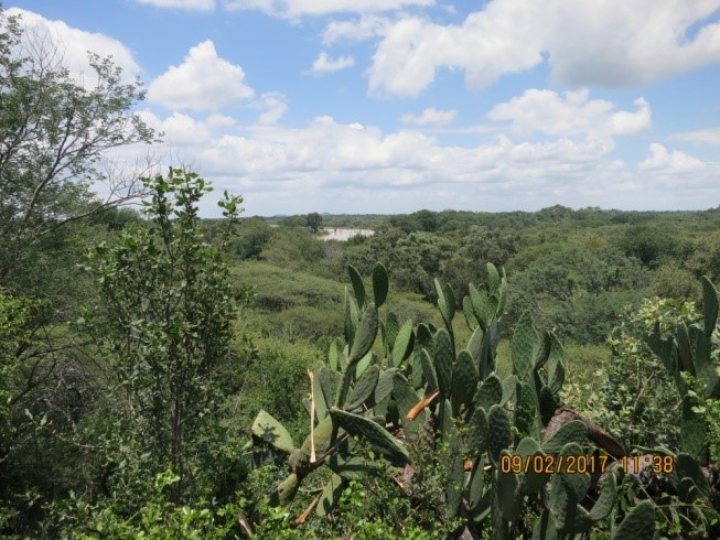 sondelani hunting lodge view in zimbabwe