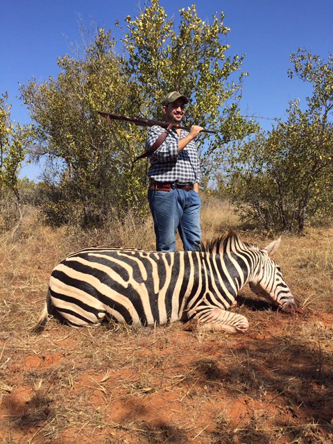 Zebra hunting in South Africa