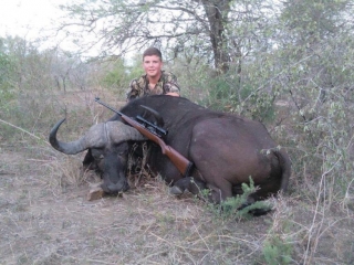 Caelans Cape Buffalo Trophy
