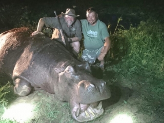 Marks hippo trophy