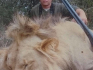 Clints Lion Trophy