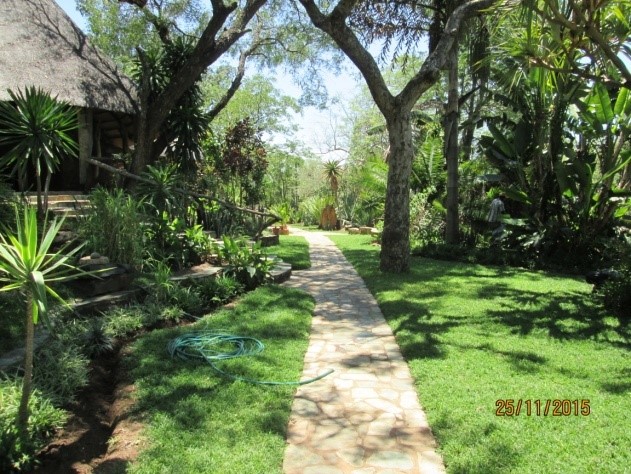 sondelani lodge walkway zimbabwe