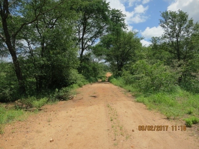 hunting road in zimbabwe