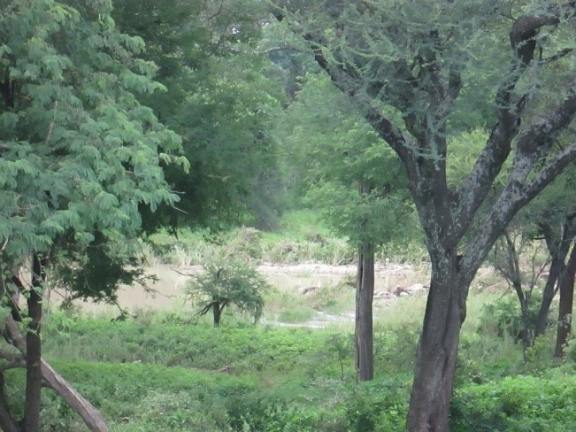 mtshabezi river running through the sondelani reserve