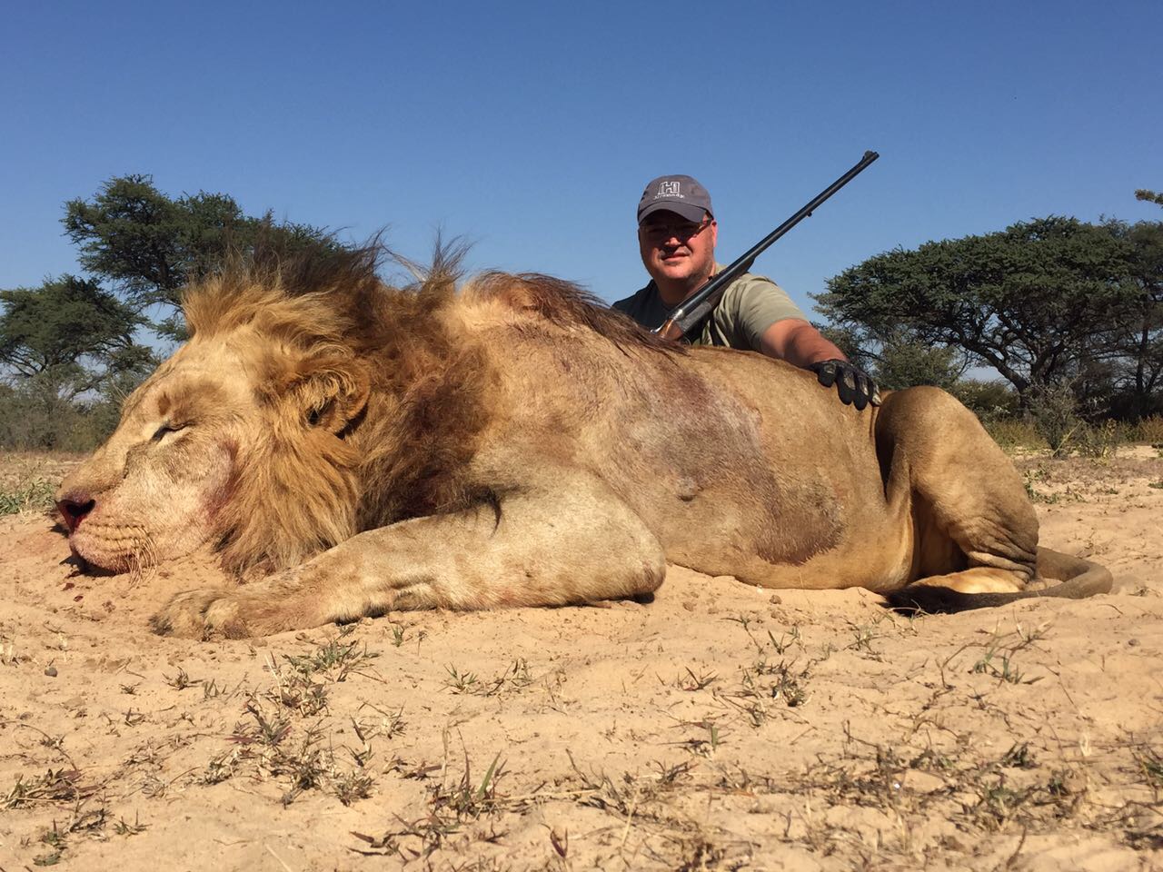 Lion hunt South Africa