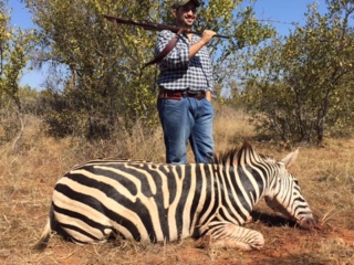 Zebra hunting in South Africa